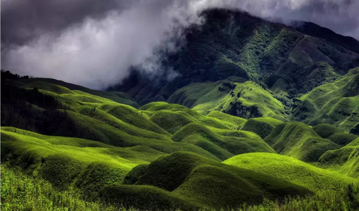 Dzukou valley