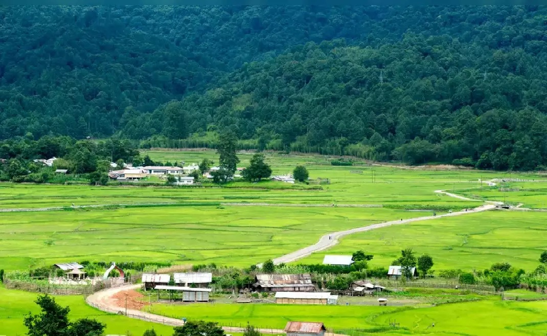 Ziro